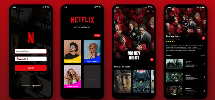 Netflix Pro APK MOD app