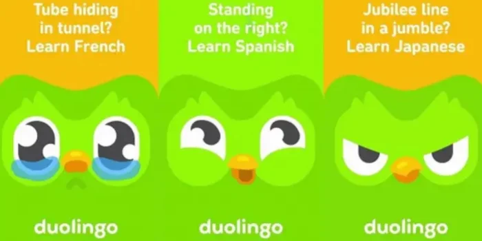 duolingo multiple languages